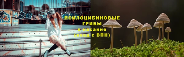 экстази Горняк